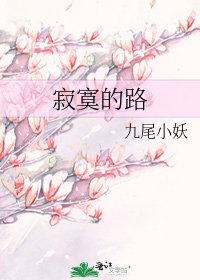 寂寞的路