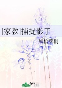[家教]捕捉影子