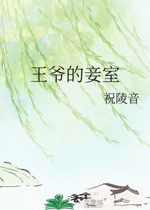 王爷的妾室