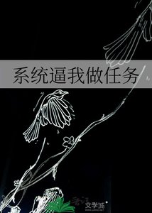 系统剥我做任务