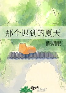 那个迟到的夏天