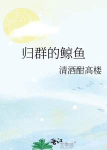 归群的鲸鱼