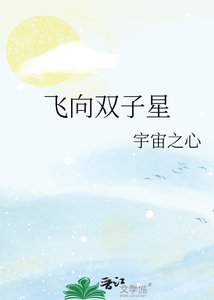 飞向双子星
