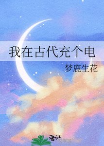 我在古代充个电