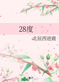28度